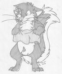  absurd_res annoyed apron apron_lift balls cat cute_fangs digitigrade erection feline fluffy_tail front_view greyscale hi_res looking_down male mammal mizzyam monochrome pencil_(artwork) penis semi-anthro sethos_cat sheath signature solo tapering_penis traditional_media_(artwork) whiskers 