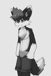  anthro briefs bulge canine clothing cute_fangs fox greyscale hi_res looking_at_viewer male mammal monochrome open_mouth pants pants_down shorts solo underwear whiteleo young 