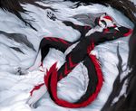  2015 angiewolf black_fur black_nose claws dragon fluffy fur furred_dragon green_eyes high-angle_shot horn lying male multicolored_fur on_back outside red_fur snow white_fur white_sclera winter 