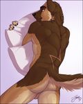  2015 aniel anthro backsack balls black_nose brown_fur brown_tail butt canine dog feralise fur german_shepherd looking_at_viewer looking_back lying male mammal multicolored_fur nude on_front pillow pillow_hug pose scar simple_background solo tan_fur tan_tail yellow_eyes 