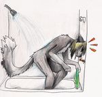  anthro bathtub black_hair blonde_hair canine chaos_(character) clenched_teeth eyes_closed fangs fur grey_fur hair hi_res male mammal multicolored_hair nude shower solo standing teeth traditional_media_(artwork) two_tone_hair wing-of-chaos wolf 
