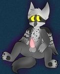  absurd_res avian bird canine cub cute erection gryphon hi_res hybrid liuthekitty775 male mammal osprey pawpads paws penis percy shy solo wolf young zeetyphlosion 
