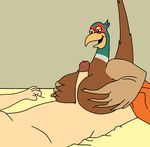  anthro avian bed bestiality big_breasts bird breasts busty_feral duo family_guy female feral human male male/female mammal penis pheasant sex thatgtaguy titfuck 