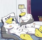  anthro avian ayden_(brogulls) bailey_(brogulls) balls bird brothers duo handjob humanoid_penis incest male male/male penis seagull sibling skoogers 