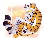  2015 anthro black_fur black_stripes blue_eyes breasts cat collar duo feline female fur green_eyes grey_fur half-closed_eyes hug male male/female mammal multicolored_fur nude orange_fur simple_background smile stripes tiger white_fur wing-of-chaos yellow_sclera 