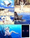  anthro ark_warrior backsack balls beach blue_eyes butt canine clothing cloud dog fish fur hi_res jumping male mammal marine navel nipples seaside sheath solo underwater undressing water white_fur 