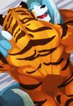 anthro bed butt canine colored duo feline kukku_kuu male male/male mammal muscular nude tiger 