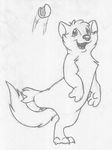  absurd_res ball barefoot cub cute_fangs digitigrade featureless_crotch greyscale hi_res looking_back male mammal marten mizzyam monochrome mustelid nude open_mouth pencil_(artwork) playing regi_marten semi-anthro smile solo standing_on_one_foot traditional_media_(artwork) young 