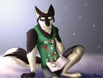  anthro book canine christmas dog gangstaguru german_shepherd holidays husky jaron male mammal mix reading sitting smile snow 