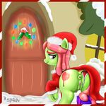  2015 anus butt christmas clothed clothing cutie_mark dock door earth_pony equine female feral friendship_is_magic gift hair hat hi_res holidays hooves horse long_hair mammal multicolored_hair my_little_pony panties pony pussy rainingskys santa_hat smile snow solo tree_hugger_(mlp) two_tone_hair underhoof underwear 