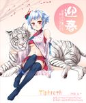  blue_hair breasts detached_sleeves kanda_aya medium_breasts midriff miniskirt new_year original red_eyes saionji_touko skirt solo thighhighs tiger underboob white_tiger 