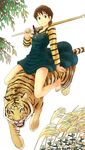  2010 animal bad_id bad_pixiv_id barefoot brown_hair fate/stay_night fate_(series) fujimura_taiga jas legs namesake over_shoulder riding shinai short_hair smile solo sword sword_over_shoulder tiger weapon weapon_over_shoulder 