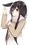  animal_ears ao_no_neko bangs black_hair blue_eyes blush bunny_ears buttons chestnut_mouth coat long_hair long_sleeves original pom_pom_(clothes) scarf simple_background solo straight_hair sweatdrop touching_ears upper_body white_background 