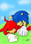  all_fours knuckles_the_echidna male male/male rockgaara sonic_(series) sonic_the_hedgehog 