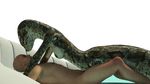  2015 3d_(artwork) alpha_channel animated anthro bald black_nipples breasts cgi cobra digital_media_(artwork) duo female female_on_top grinding hattonslayden human human_on_anthro interspecies lying male male/female mammal nipples non-mammal_breasts nude on_back on_top open_mouth reptile scalie sex simple_background snake snake_hood sofa transparent_background 