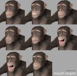  anthro ape baboon chimpanzee fur male mammal monkey pose prehensile_feet primate solo unknown_artist 