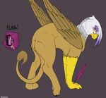  avian backlash91 bird blush butt camera equine feline female feral gryphon horse invalid_tag lion mammal rear_shot solo wand 