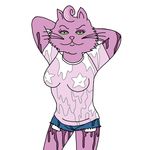  2014 anthro bojack_horseman breasts cat clothed clothing digital_media_(artwork) feline female fur green_eyes hands_behind_head hi_res looking_at_viewer mammal nipple_bulge pasties pink_fur princess_carolyn shirt shorts simple_background solo v1tal wet wet_t-shirt whiskers white_background 