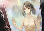  absurdres against_glass breasts brown_eyes brown_hair highres nipples nude okuto original short_hair small_breasts solo_focus twintails 