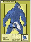  anthro biceps butt canine clothing colored fur jockstrap kinimus looking_at_viewer looking_back male mammal muscular novra_(artist) presenting solo underwear wolf 