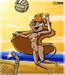  beach breasts chip_&#039;n_dale_rescue_rangers disney female gadget_hackwrench hentai_boy nude pussy seaside volleyball 