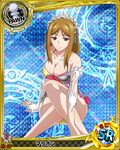  apron artist_request brown_eyes brown_hair card_(medium) character_name chess_piece dress gloves high_school_dxd marion_(high_school_dxd) official_art pawn solo torn_clothes trading_card underwear 