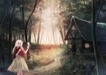  albino butterfly_on_hand elysion forest house lafrenze long_hair looking_at_viewer miyakure nature path red_eyes revision road shirt silver_hair skirt smile solo sound_horizon white_hair 