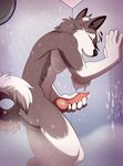  abs anthro butt canine cum cum_on_penis dog erection eyes_closed fur harlem husky knot male mammal masturbation open_mouth orgasm pecs penis raised_arm shower smile solo standing wet 