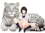  2010 black_eyes black_hair bow hair_ornament hairclip legs navel new_year nishikawa_ari no_bra open_clothes open_shirt original panties shirt short_hair smile solo tiger underwear white_shirt white_tiger 