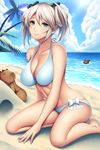  abaddon_(god_eater) bikini breasts capybara ciel_alencon cleavage god_eater god_eater_2:_rage_burst green_eyes highres large_breasts short_hair silver_hair sitting solo swimsuit twintails wariza watanuki_kaname 