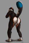  anthro balls butt cat deessel feline male male/male mammal slightly_chubby 