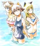  animal_ears bikini blonde_hair blue_bikini blue_eyes breasts brown_hair cat_ears cat_tail chikuwa_(tks) cleavage crossed_arms glasses groin long_hair lynette_bishop medium_breasts miyafuji_yoshika multiple_girls navel one-piece_swimsuit open_mouth partially_submerged perrine_h_clostermann school_swimsuit short_hair small_breasts smile strike_witches swimsuit tail wading water world_witches_series yellow_eyes 