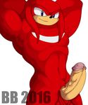  2016 anthro balls blackbear echidna erection knuckles_the_echidna male mammal monotreme nude penis solo sonic_(series) 