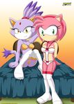  amy_rose bbmbbf bed bedroom blaze_the_cat bra cat clothing feline female gem hairband hedgehog inviting legwear mammal mobius_unleashed palcomix palcomix_vip panties simple_background smile sonic_(series) stockings underwear 