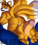 2016 anthro blackbear butt canine duo erection foot_fetish footjob fox hedgehog male male/male mammal miles_prower penis sex sonic_(series) sonic_the_hedgehog 