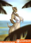  anthro breasts female half-closed_eyes looking_at_viewer navel patreon r-mk rainbow_eyes reptile scalie smile solo thick_thighs turtle 