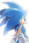  anthro black_nose clothing gloves green_eyes hedgehog male mammal simple_background solo sonic_(series) sonic_the_hedgehog 普透明度 