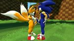  3d_(artwork) anthro balls canine cgi digital_media_(artwork) duo erection fox frottage hedgehog male male/male mammal miles_prower nude penis sanory_(artist) sex sonic_(series) sonic_the_hedgehog 