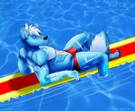  5doller artwork beach bulge canine clothing clownboy1 digital_media_(artwork) dog float followers general husky invalid_color invalid_tag lying male mammal markings muscular pose relaxing ripples seaside speedo steelfire305 surf swim swimsuit tattoo tropical watchers water 