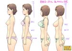  arm_at_side ass bangs blush bob_cut bow bow_panties bra breasts brown_hair bust_chart carina_(xiaowoo) character_name closed_mouth copyright_name cowboy_shot earrings eyeshadow frilled_panties frills from_side green_bra green_panties height_chart ishikawa_purin jewelry kishi_mieko lace lace-trimmed_bra lace-trimmed_panties looking_afar makeup medium_breasts multiple_girls multiple_views nipples number onna_shunin_kishi_mieko panties pink_bra pink_panties profile sagging_breasts short_hair sideboob simple_background skindentation small_breasts standing swept_bangs topless translated underwear underwear_only wavy_hair white_background 