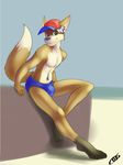  anthro bulge canine clothed clothing coszcatl fox half-dressed hat invalid_tag looking_at_viewer male mammal sitting smile solo topless 