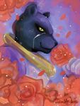  anthro black_nose black_panther clothing feline flower hi_res mammal misslocoloca nintendo panther panther_caroso plant rose scar signature smile solo star_fox video_games yellow_eyes 