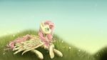  2013 dreampaw equine feathers female feral flower fluttershy_(mlp) friendship_is_magic fur grass green_eyes hair hi_res lying mammal my_little_pony outside pegasus pink_hair plant sky solo wings yellow_feathers yellow_fur 