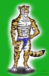  bulge disney male mammal solo stripper_tiger_(zootopia) zootopia 