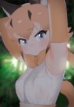  1girl animal_ears armpits arms_up bangs blue_eyes bow bowtie caracal_(kemono_friends) commentary elbow_gloves eyebrows_visible_through_hair gloves hair_between_eyes highres kemono_friends kemono_friends_2 looking_at_viewer masuyama_ryou orange_bow orange_bowtie orange_hair see-through shirt sleeveless sleeveless_shirt solo sweat tail upper_body wet wet_clothes wet_shirt white_shirt 