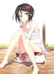  animal_hair_ornament aobe_mahito barefoot black_hair blue_eyes bottle cat crab day dress original short_hair sitting solo sundress 