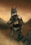  2015 armor canine coontail desert mammal moody mountain painting phantominus raccoon safe sky star wolf 