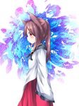  alternate_hairstyle animal_ears bad_id bad_pixiv_id blush brooch brown_hair dress highres imaizumi_kagerou jewelry long_hair long_sleeves looking_at_viewer looking_to_the_side miki_yanagi ponytail red_eyes solo touhou wide_sleeves wolf_ears 