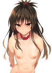  arms_behind_back blush breasts brown_eyes brown_hair collar collarbone hair_ornament highres long_hair navel nipples nude small_breasts solo to_love-ru ts422 yuuki_mikan 