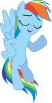  2013 absurd_res alpha_channel blue_feathers blue_fur equine eyes_closed feathered_wings feathers female flying friendship_is_magic fur hair hi_res mammal multicolored_hair my_little_pony pegasus rainbow_dash_(mlp) simple_background solo spier17 transparent_background wings 